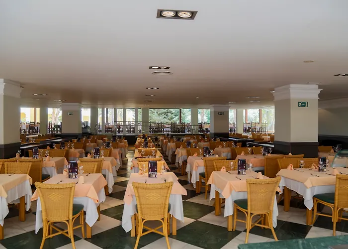 Hotel que admite mascotas: Playazimbali